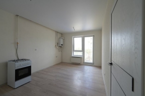 Риелтор Патанин назвал цену бюджетной студии в Санкт-Петербурге