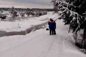 В Ленобласти началось частичное подтопление территорий из-за таяния снега