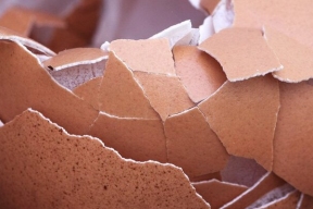 Scientists have studied the role of eggshells in the recovery of rare earth elements