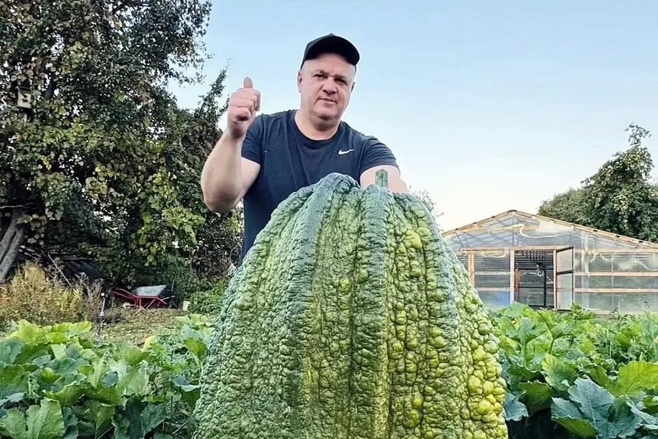 «Кабан» весом 76 кг: строитель из Луховиц вырастил самый большой кабачок в истории России