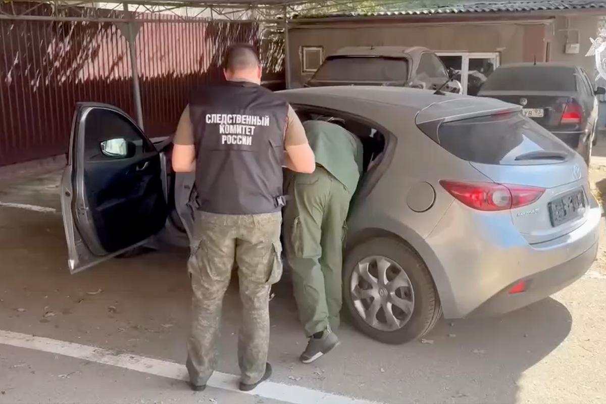 Убийство 11-летней девочки в поселке Стрелка: подозреваемый признал вину