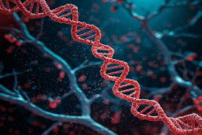 Каждая статья в профильном журнале содержала неточности в наименованиях генов