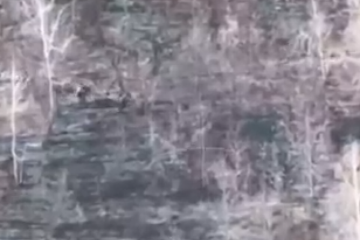 Российские войска уничтожили на границе украинских диверсантов