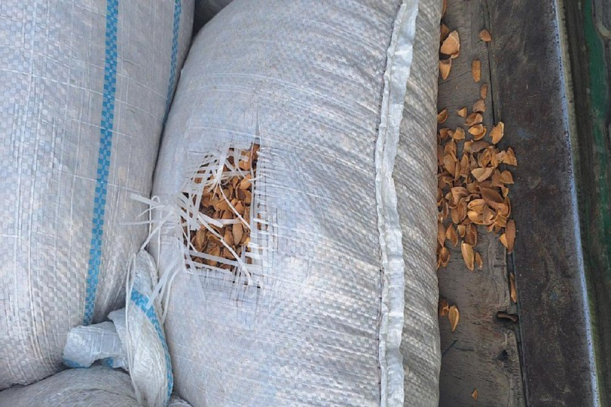 Таможенники Челябинской области выявили груз с 23 тоннами скорлупы абрикоса