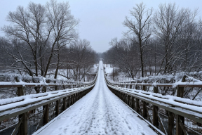 В Мордовии рухнул мост через реку Инсарка