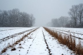 В ХМАО ожидаются суровые морозы до -40 градусов