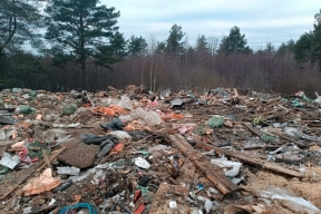 Под Новгородом ищут виновников создания свалки мусора и ущерба экологии