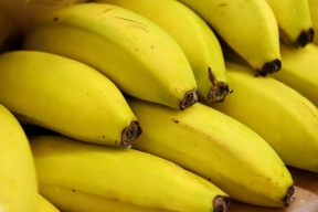 Бананы в России? Эксперт оценил: зачем нам теплицы, если дешевле купить у Эквадора!