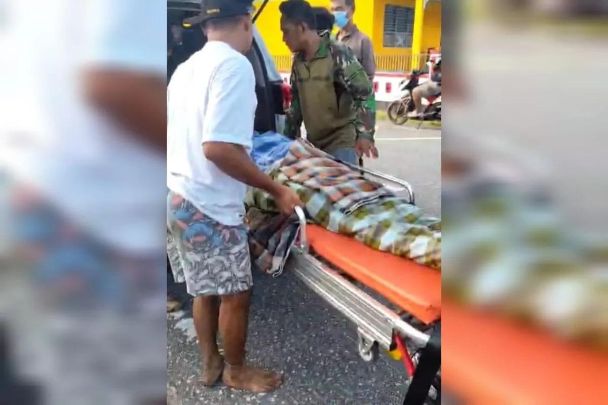 Пропавшего фермера нашли в желудке питона в Индонезии