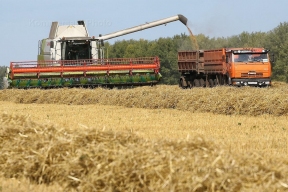 Новосибирские аграрии перевыполнили план по сбору урожая технических культур