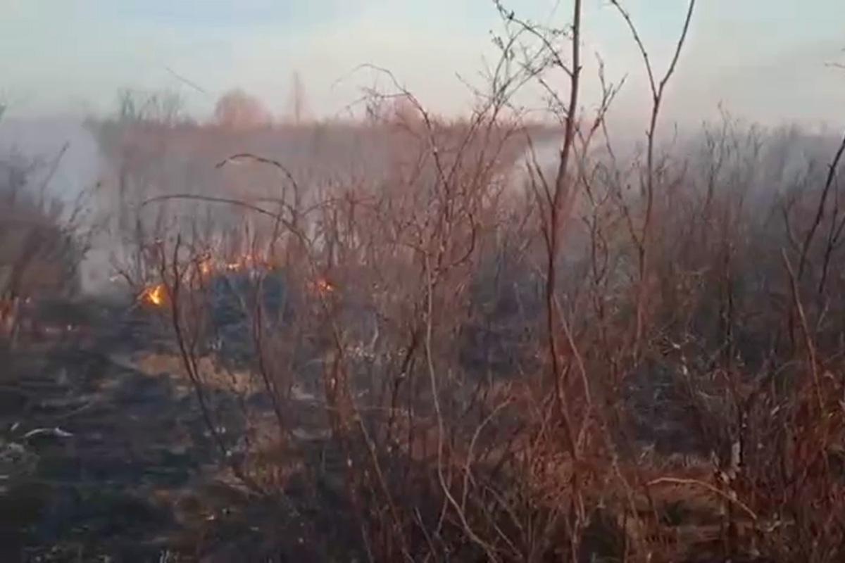В Туве установлены виновники крупного пожара
