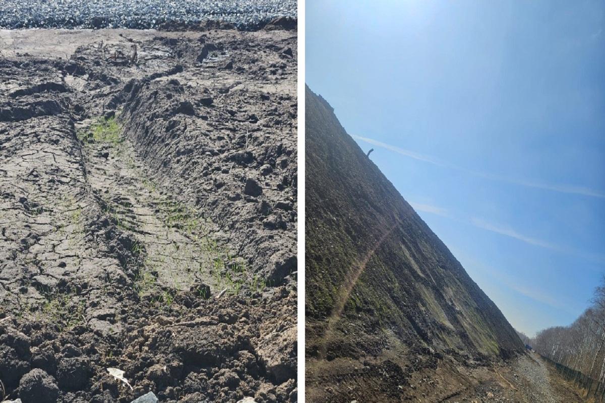 Бывший полигон в Пашино начал зарастать травой