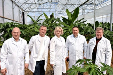 «Дороговато, но свои»: Путин признал проблему сочинских бананов и велел защитить фермеров от импорта