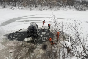 Со дна озера Узеть в Башкирии водолазы подняли огромное стадо ушедших под лед овец