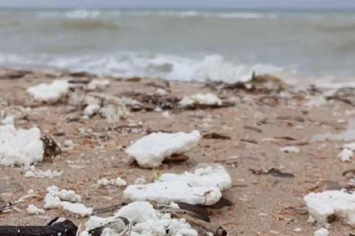 Из-за сгустков белого вещества на пляжах туристам посоветовали отказаться от отдыха в Анапе