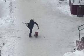 Видео с избиением маленькой собаки в Щелкове вызвало общественный резонанс