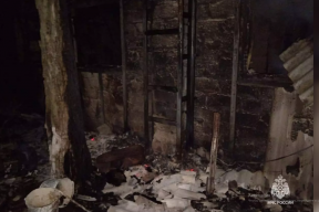 В Ростовской области в страшном пожаре погиб 4-летний ребенок