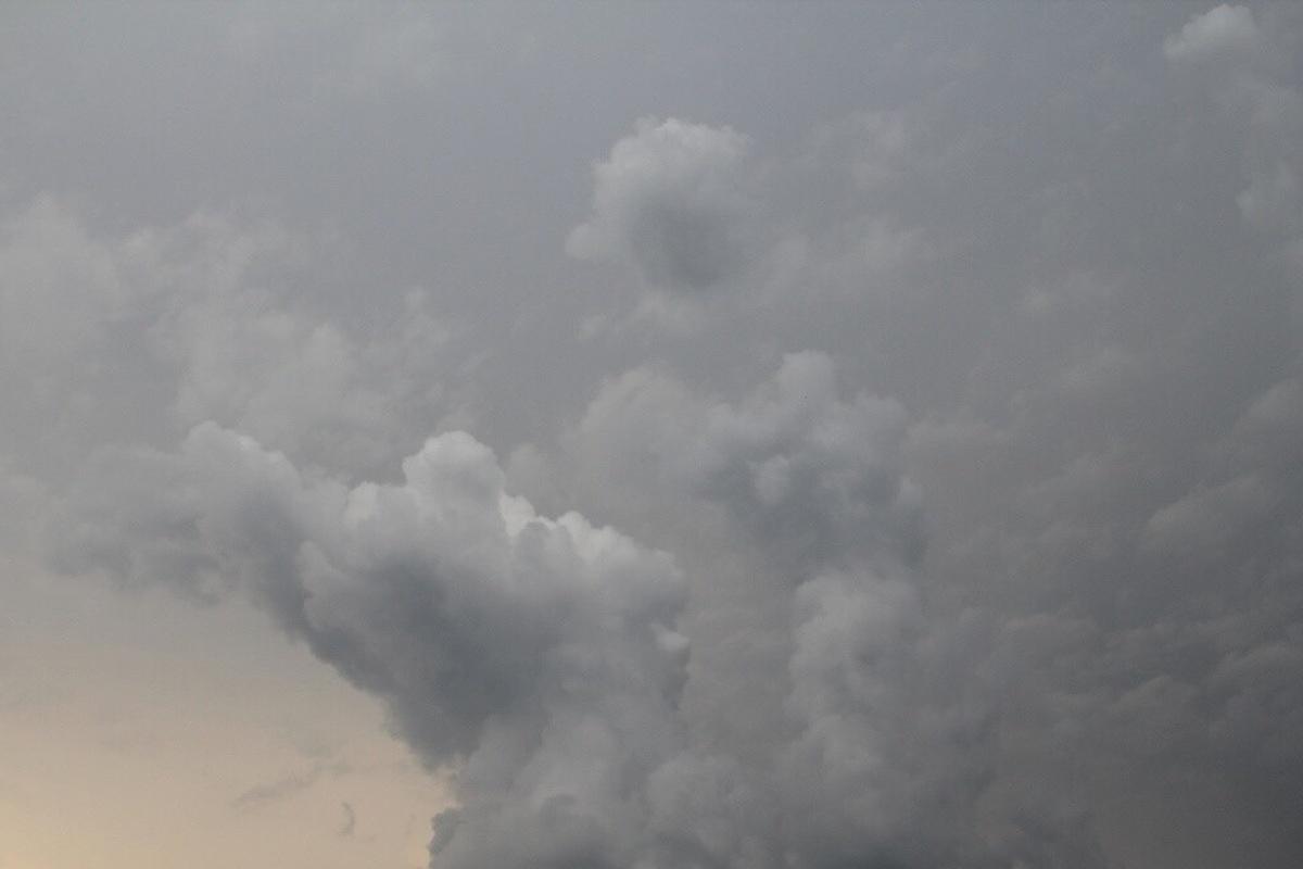 Синоптики обещают дожди с грозами в Новгородской области уже в среду