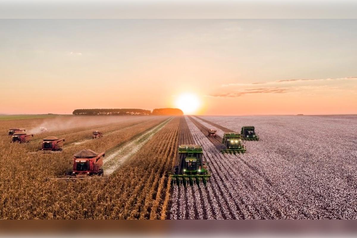 Михаил Мишустин потребовал ускорить процесс субсидирования аграриев