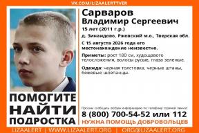 «Потеряны сутки»: как ошибка родителей сорвала поиски 14-летнего школьника под Тверью