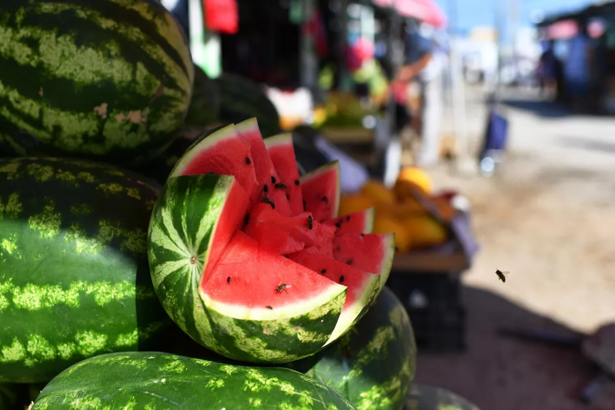Поступившие на прилавки Волгограда арбузы признаны безопасными