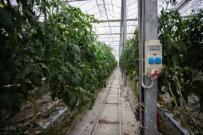 Адыгея вошла в первую десятку регионов по занятости населения в малом и среднем бизнесе