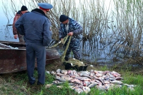 В Саратовской области отчитались о борьбе с незаконным выловом рыбы