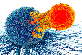 Scientists have found a way to get rid of the spread of cancer cells