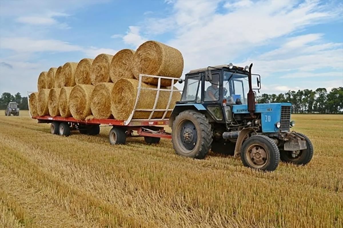 Тува закрыла кормозаготовку с перевыполнением плана: итоги масштабной кампании