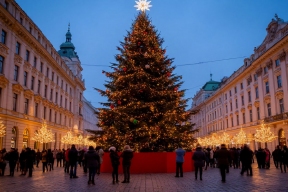 Жителей Владимира призвали активней голосовать в конкурсе «Ёлка России»