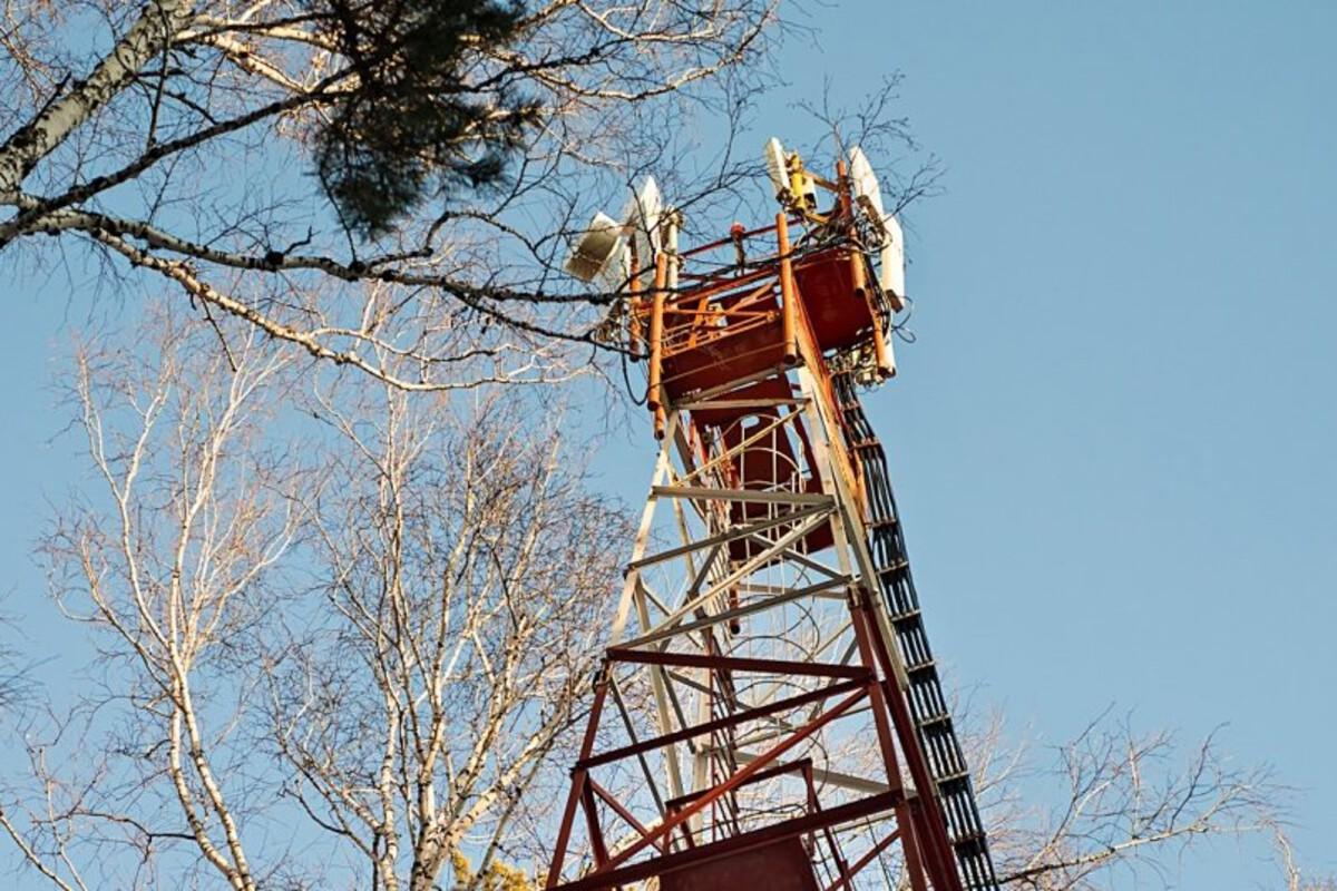 В Биробиджане значительно возросла скорость мобильного интернета