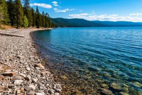 На Байкале обнаружена угроза извне: чужеродные растения захватывают экосистему