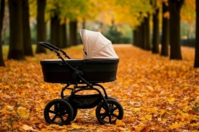 В Белгородской области родители активно используют сервис «Рождение ребенка»