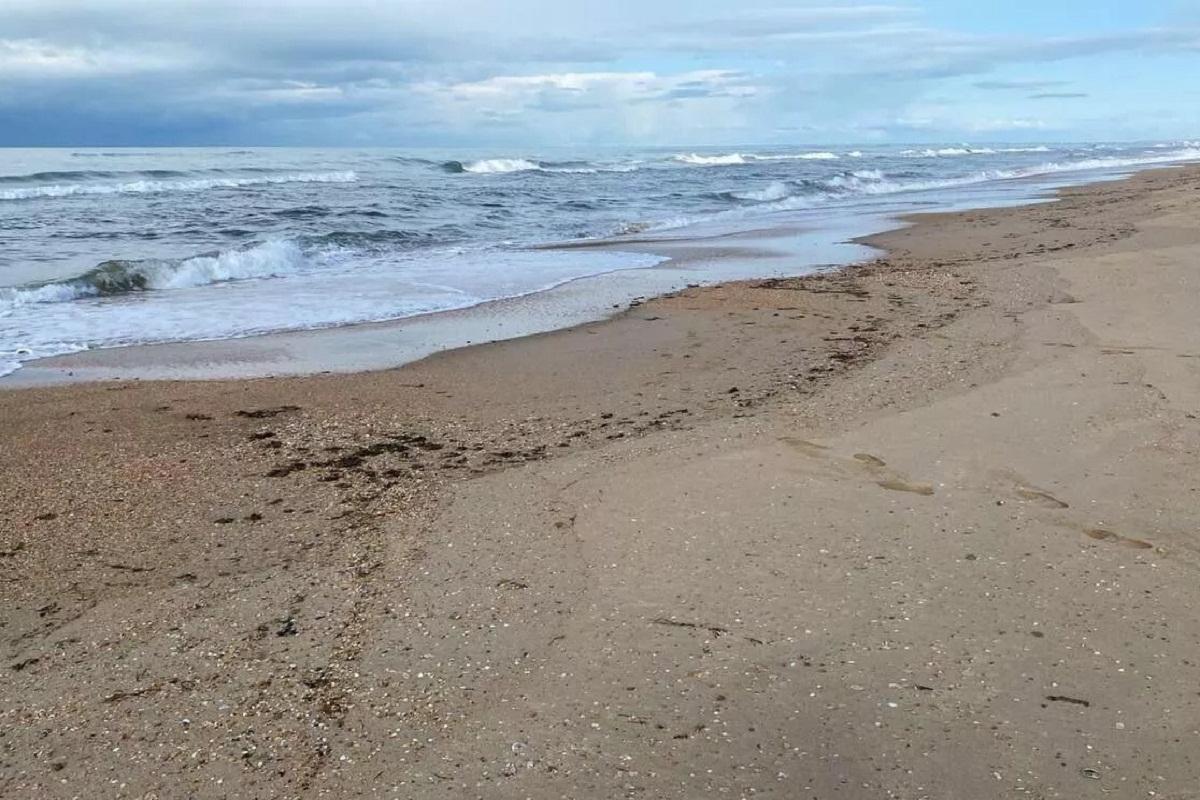 Номерной фонд Черноморского побережья забронирован почти на 50%,