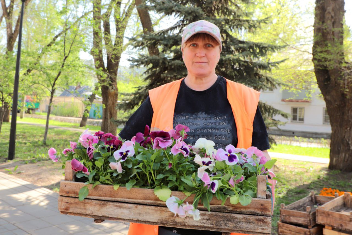 Мэр Иван Носков: В Самаре к лету высадят 1,3 млн цветов, а в следующем году их будет еще больше