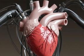 Вырастить сердце за 10 лет: ученый Кулемзин назвал сроки появления первых биоинженерных органов в России