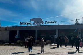 Депутаты предлагают создать в Петербурге новый зоопарк