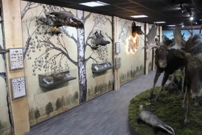 В Мордовии начал работать музей леса
