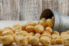 Less Egyptian potatoes have been imported to Russia