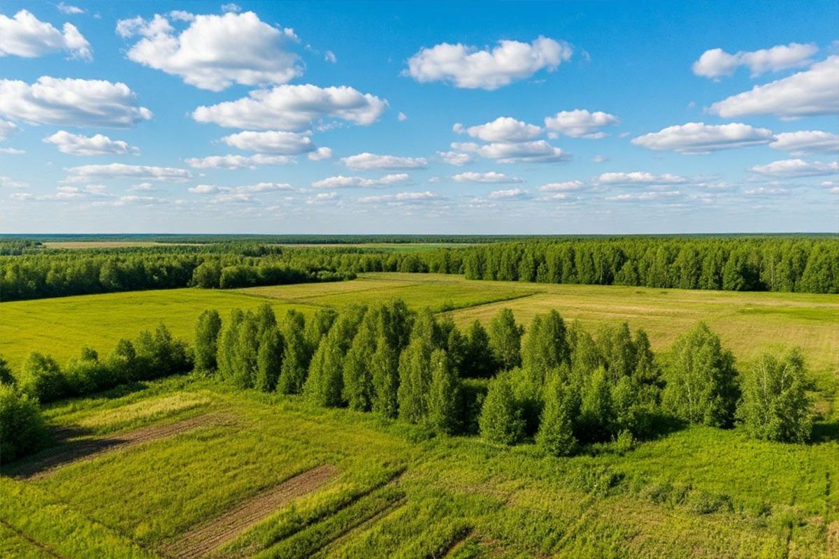 Обезлюживание территорий в России: эксперт назвал неожиданный способ спасти регионы