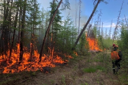 В Якутии лесными пожарами уже охвачено свыше 52 тысяч гектаров леса