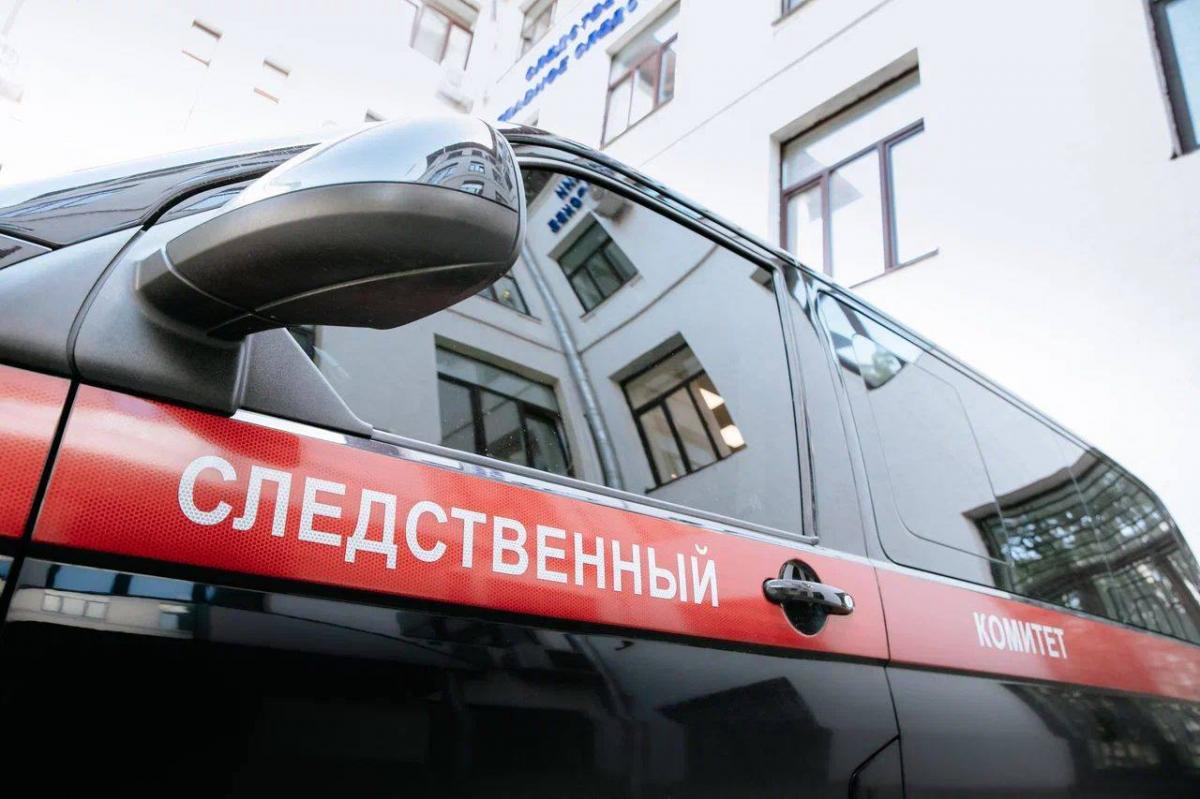 Смотрели и снимали: школьницы зарезали 12-летнего мальчика, чтобы увидеть смерть