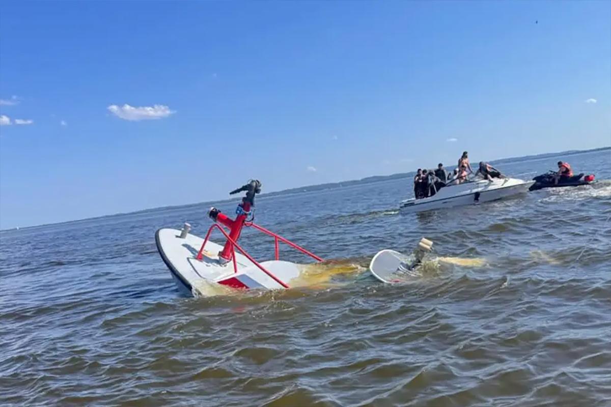 Кит-убийца у статуи Свободы: морской гигант потопил пожарный катер за считанные секунды