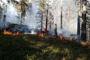 В Карелии за несколько дней потушили почти 20 лесных пожаров