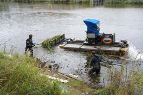 В Котельниках завершается благоустройство территории пруда в микрорайоне Силикат