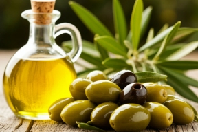 В Дагестане начнётся производство оливкового масла