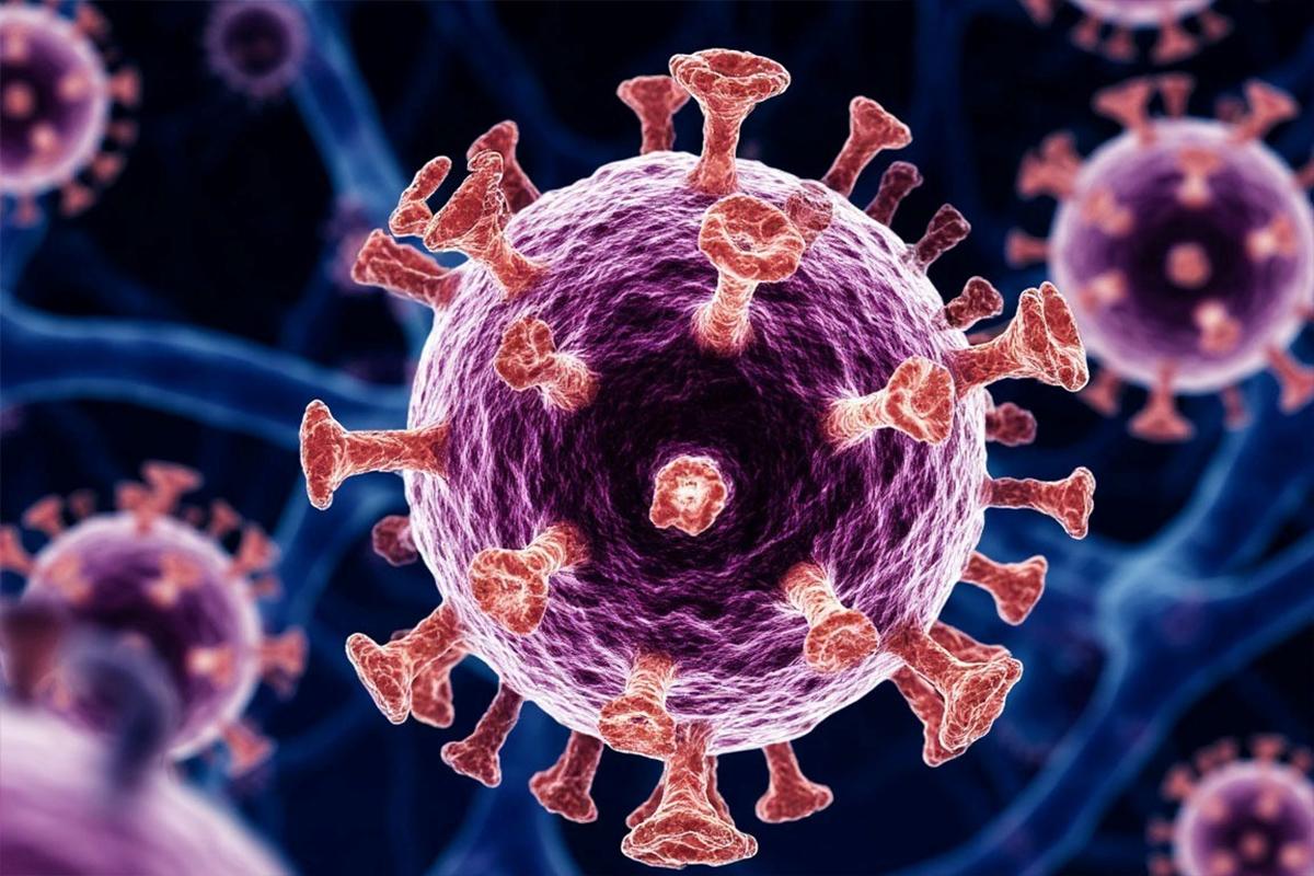 У вирусов нашли новый лазейку в организм: коронавирусы научились подбирать «второй ключ» к легким человека