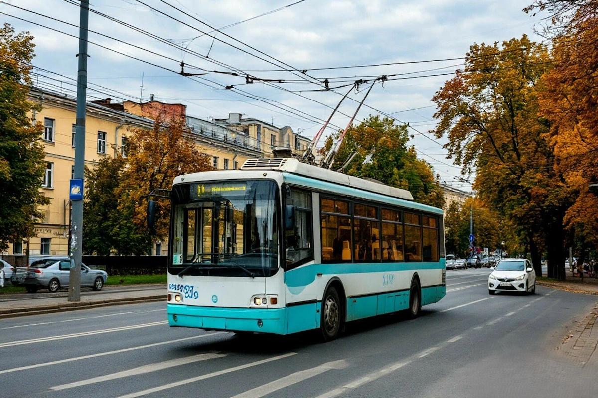 Власти Карелии попросили Петербург передать троллейбусы Петрозаводску для обновления транспорта