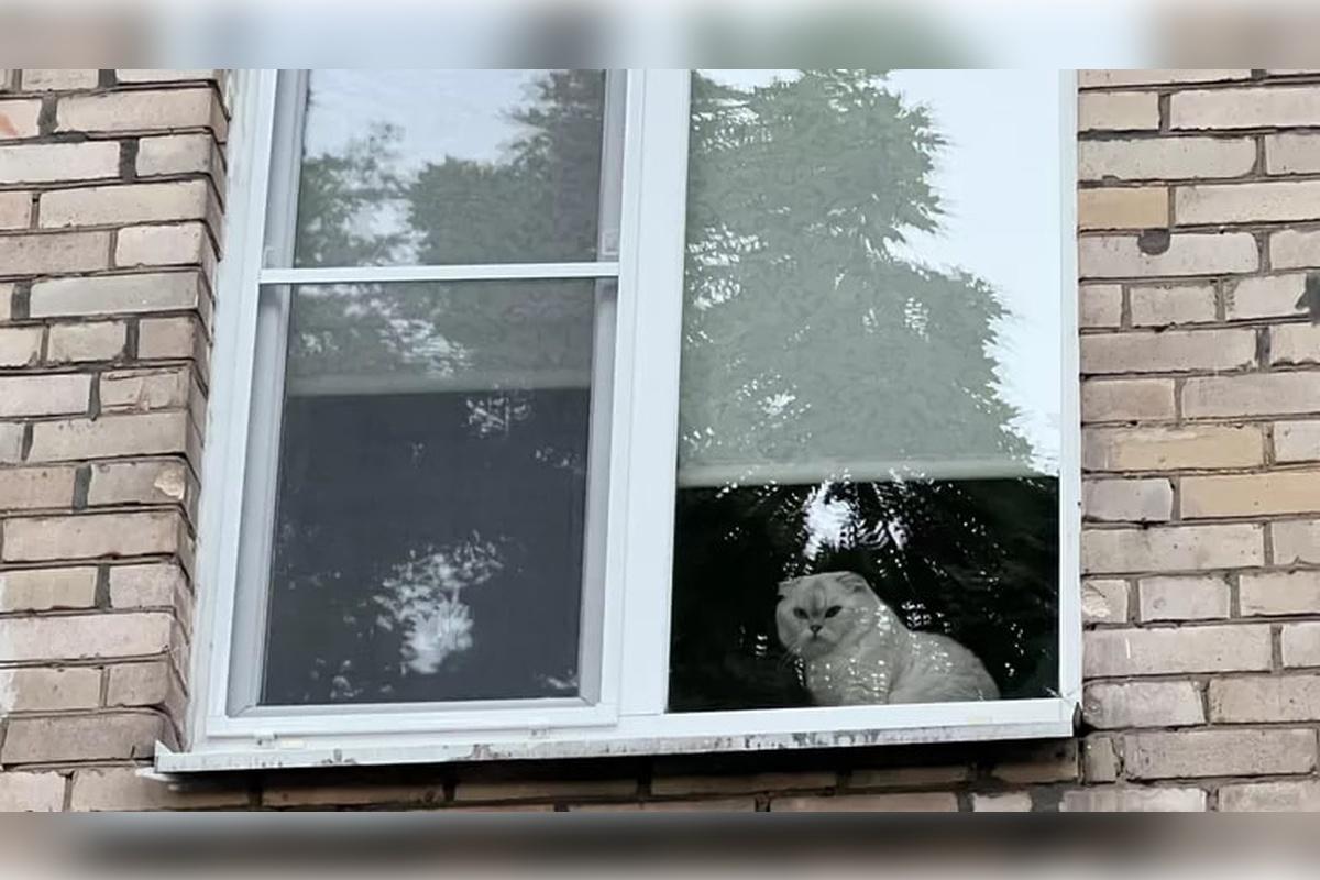 В Кургане из окна многоэтажного дома выпала 14-летняя девочка