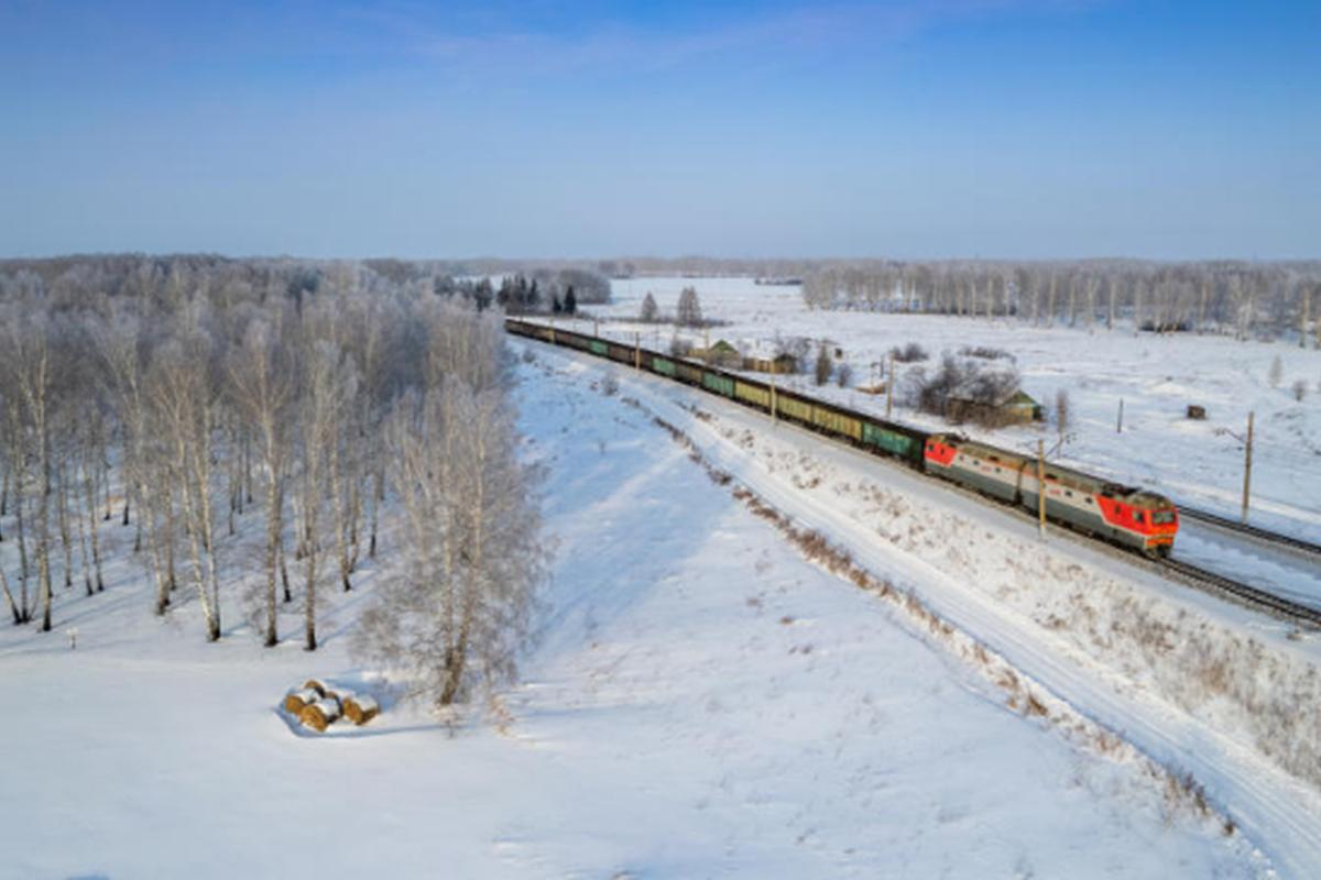 В Новосибирской области увеличивают штрафы для пассажиров и вводят новые правила для перевозчиков